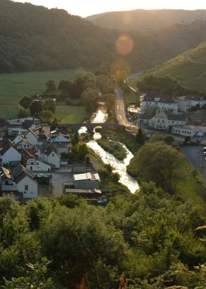 Rech-vom-Hardtberg-Mai-2017-5 Rech-vom-Hardtberg-Mai-2017-5